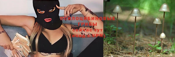 ALPHA PVP Гусев