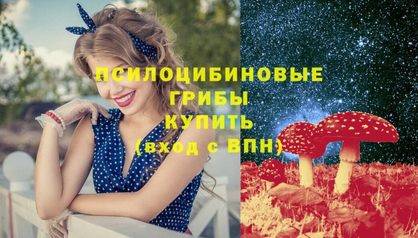 прущая мука Гусь-Хрустальный