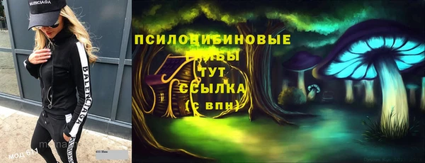 ALPHA PVP Гусев
