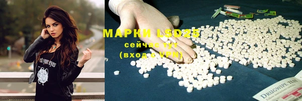 ALPHA PVP Гусев
